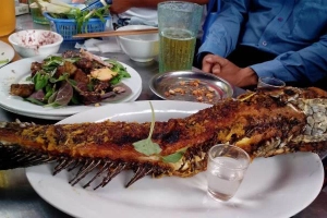 Quán Ăn Chưởng Thu - Bia Hơi & Các Món Nhậu