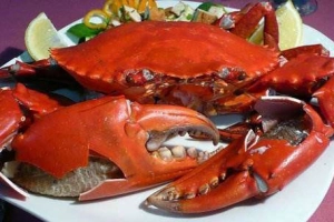 Quán Ăn Crab House