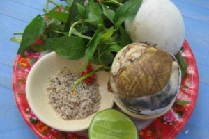 Quán Ăn Don - Trứng Vịt Lộn
