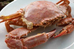 Quán Ăn Hải Sản Bé Nhi - Đặc Sản Hội An