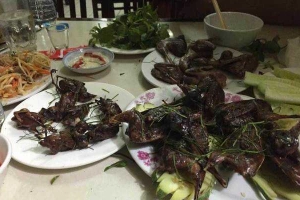 Quán Ăn Hồng Thư - Chim Trời, Xôi Chim