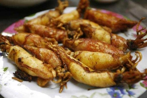 Quán Ăn Mai Quỳnh Quán - Hải Sản