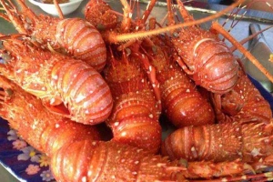 Quán Ăn Mũi Tàu Quán - Đặc Sản Bình Dân