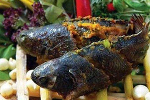 Quán Ăn Ngọc Như