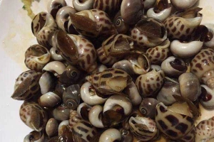 Quán Ăn Ốc 6 Xị
