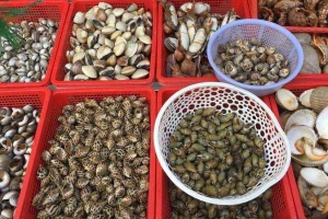 Quán Ăn Ốc Ngọc