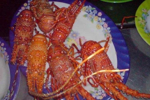Quán Ăn Phong Vân Quán - Hải Sản