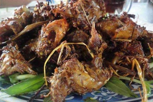 Quán Ăn Quán Giang
