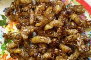 Quán Ăn Quán Hương Mai - Đặc Sản Bình Dân