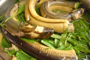Quán Ăn Quán Lươn Đồng 37 - Đặc Sản Xứ Nghệ