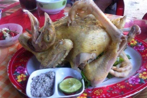 Quán Ăn Sơn Thảo - Gà Hấp Hành