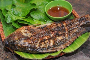 Quán Ăn Tây Đỏ - Thịt Rắn & Các Món Đồng Quê