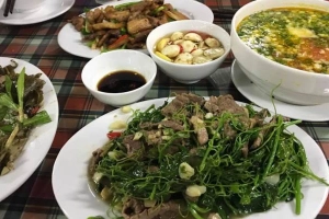 Quán Ăn Thành Lan - Ẩm Thực Đồng Quê