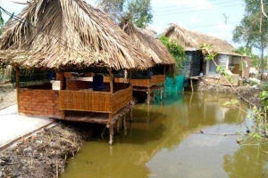 Quán Ăn Tre Làng Quán - Các Món Đồng Quê