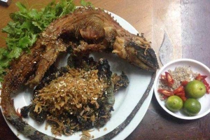 Quán Ăn Tú Còi - Đặc Sản Đồi Núi