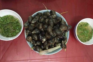 Quán Ăn Tuyết Ốc
