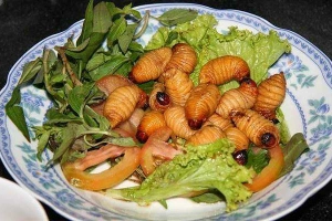 Quán Nhậu 217
