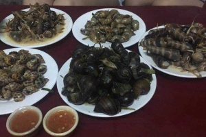 Quán Nhậu 84