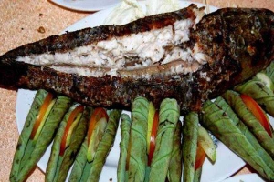 Quán Nhậu Cây Sưa - Làng Nướng