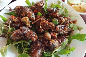 Quán Nhậu Chim Đồng - Xô Viết Nghệ Tĩnh