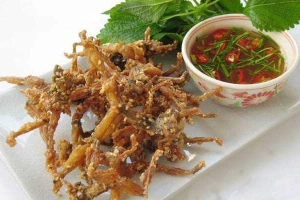 Quán Nhậu Gold Beer - Đặc Sản 3 Miền