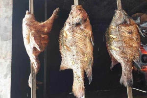 Quán Nhậu Hải Bình - Bia Nướng