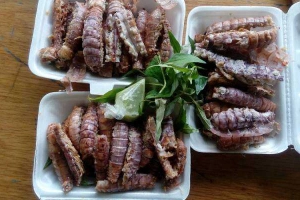 Quán Nhậu Hải Sản Thái Hà 2 - Hải Sản Bình Châu