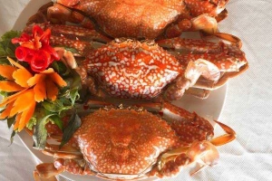 Quán Nhậu Hải Sản Thiên Ngọc - 360B Bến Vân Đồn