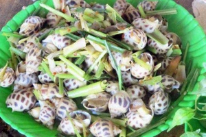 Quán Nhậu Hải Vân - Hải Sản Tươi Sống