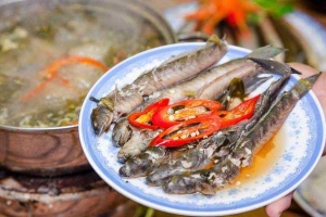 Quán Nhậu Hiếu Béo Quán - Hoàng Minh Thảo