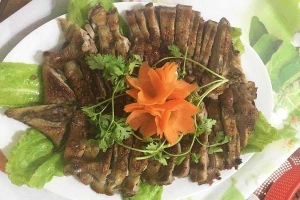 Quán Nhậu Hoa Phượng Quán - Nhậu Bình Dân
