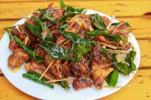 Quán Nhậu Lóc Cóc Quán - Nhậu Bình Dân