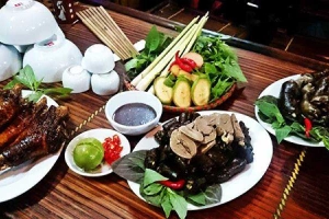 Quán Nhậu Lộc Vừng Quán - Thịt Chó Các Món