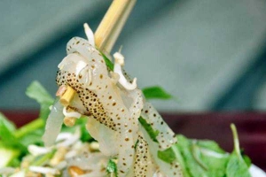 Quán Nhậu Minh Hoàng - Đặc Sản Lẩu Sứa