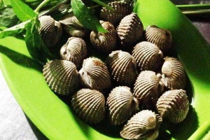 Quán Nhậu Ốc Biển - Nguyễn Bặc