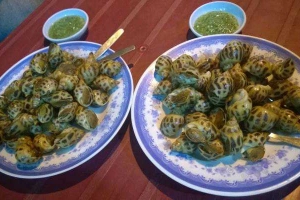 Quán Nhậu Ốc Bình Dân 30K