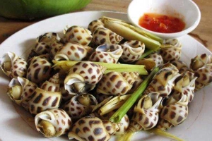 Quán Nhậu Ốc Đêm 333