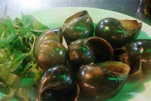 Quán Nhậu Ốc Đêm Nha Trang
