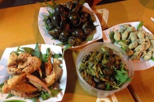 Quán Nhậu Ốc Đèn Chớp