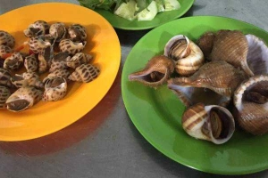 Quán Nhậu Ốc Hà Vy