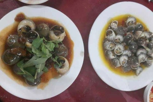 Quán Nhậu Ốc Hiếu