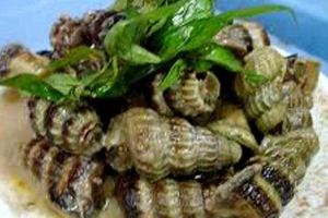 Quán Nhậu Ốc Len - Nhậu Bình Dân