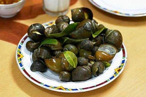 Quán Nhậu Ốc Ngon