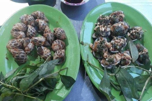 Quán Nhậu Ốc Phương - Gò Xoài