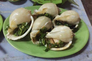 Quán Nhậu Ốc Thái