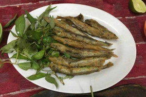 Quán Nhậu Phúc An Khang - Bia Đen Vàng & Hải Sản