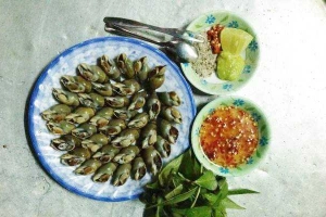 Quán Nhậu Quán Ốc 43