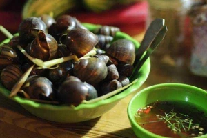 Quán Nhậu Quán Ốc Ngon 104