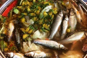 Quán Nhậu Quán Su Su - Lẩu Mắm & Các Món Đặc Sản Miền Tây