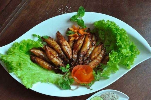 Quán Nhậu Sáu Ca - Nhậu Bình Dân